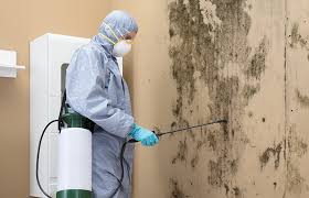 Best Mold Odor Removal Services in Maili, HI